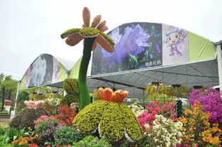 園藝秀 釋放吧 5月花季陪你high翻天