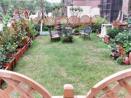 造園秀 黃先森的浪漫花園,園藝像一束光,照亮了我們的生活