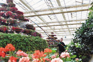 園藝產業園春光正好