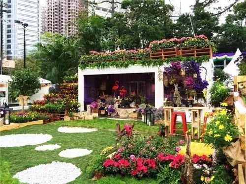 98 的花友不愿意看的文章,怕自己會放棄養花