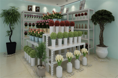 植彩坊園藝_植彩坊園藝費用多少_怎么樣