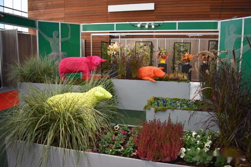 海量圖片 60張 帶你親臨荷蘭國際花卉園藝展 iftf 疫情后首秀 每周國際花訊