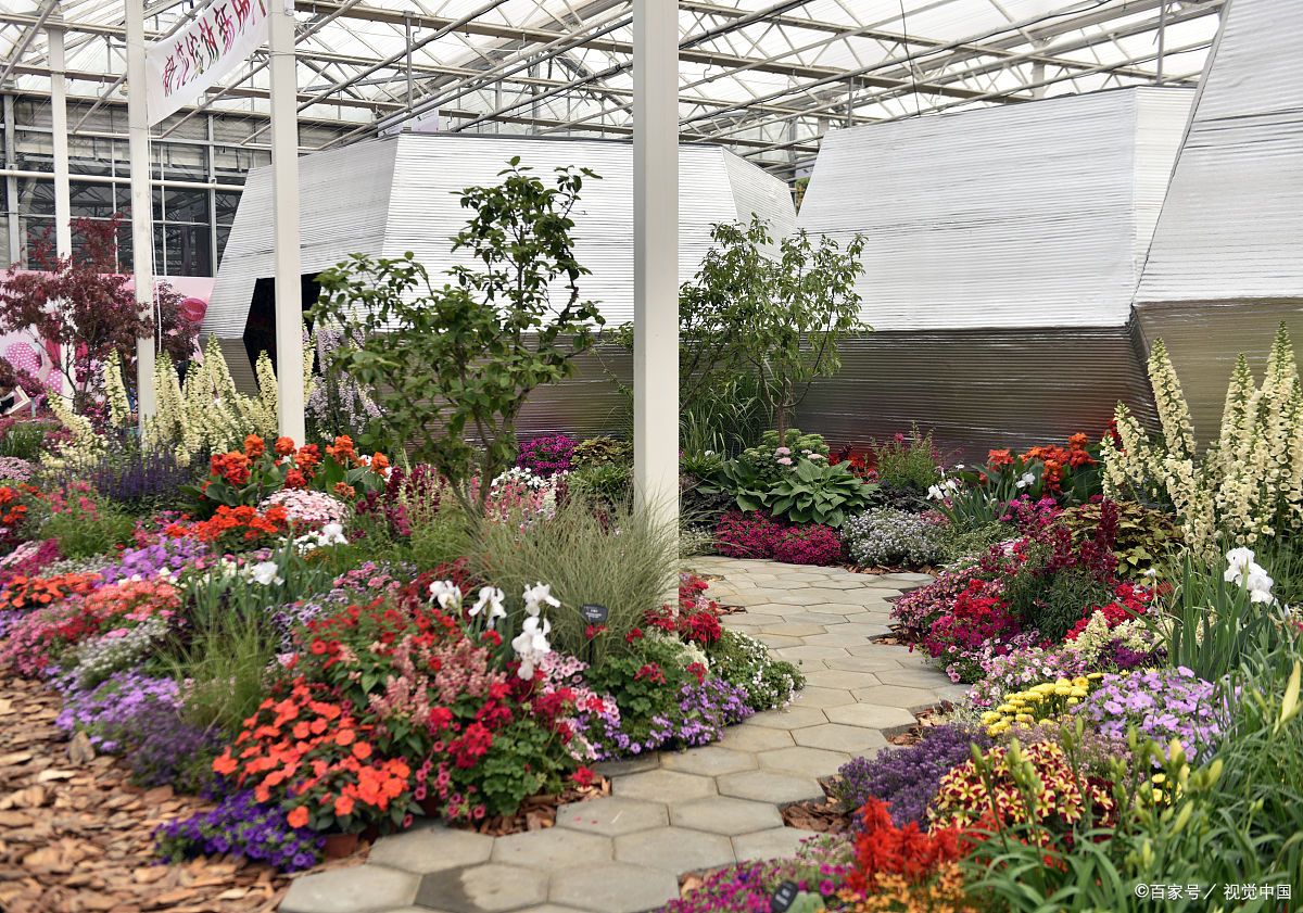 內蒙古農業大學:觀賞園藝學專業的精彩畫卷  在廣袤的內蒙古大地上,有