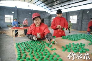 鄉鎮經濟發展系列報道之一