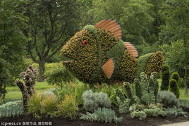 蒙特利爾園藝展 看有意思的 植物雕塑