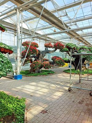 2022寧夏園藝產業園的門票及植物(開園時間+票價)