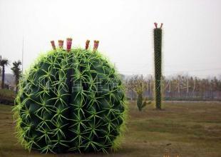供應廠家直銷仿真仙人球仙人棒仙人掌各種植物園藝景觀_禮品、工藝品、飾品_世界工廠網中國產品信息庫