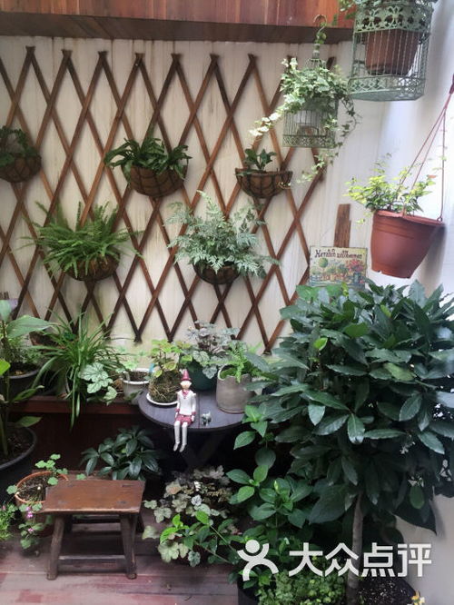 花匠蘑菇園藝咖啡