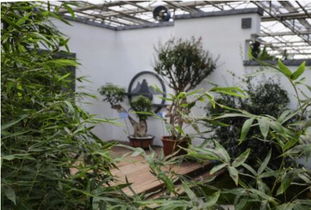 長春農博園都市園藝讓人置身于世外桃源