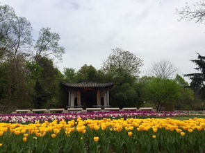 學習園藝專業該如何規劃大學生活