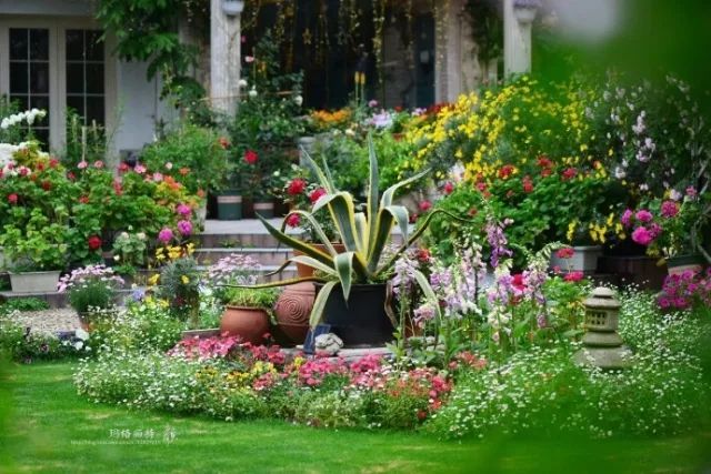 市場動態 | 2017園藝療法與大健康產業高峰論壇將在夏溪召開