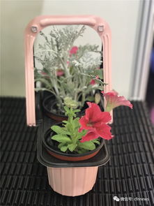 美得很 充滿創(chuàng)意的家庭園藝產(chǎn)品