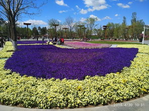 北京世界園藝博覽會(huì)