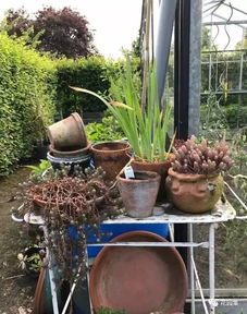 比利時(shí)的私人花園 探尋園藝帶來的生活樂趣