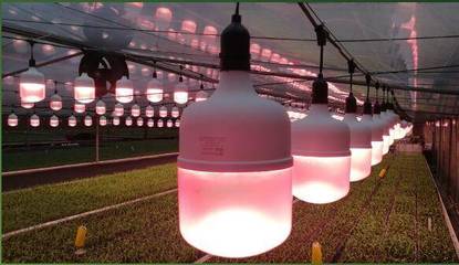 廣東省花卉協(xié)會(huì)