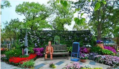 上海夢(mèng)花園市民綠化節(jié)家庭園藝秀讓鮮花裝點(diǎn)生活 讓園藝成就夢(mèng)想