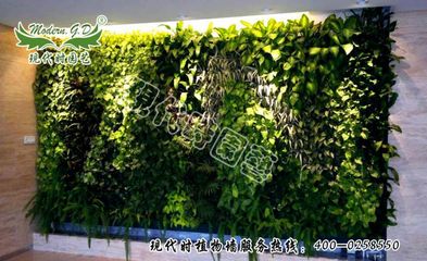 現代時園藝 專業打造哈爾濱植物墻與綠植墻施工服務