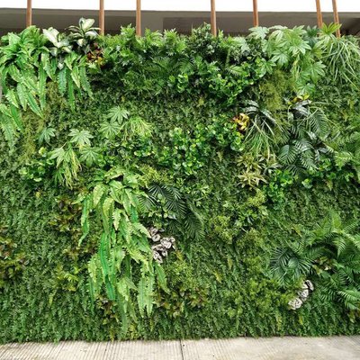 仿真植物墻 室內外裝飾新潮流，廠家直銷更實惠