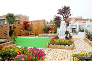 網(wǎng)友的花園大家瞧