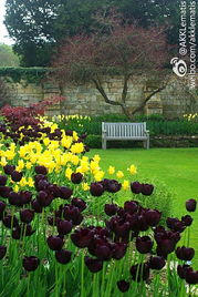 園藝的樂趣與益處